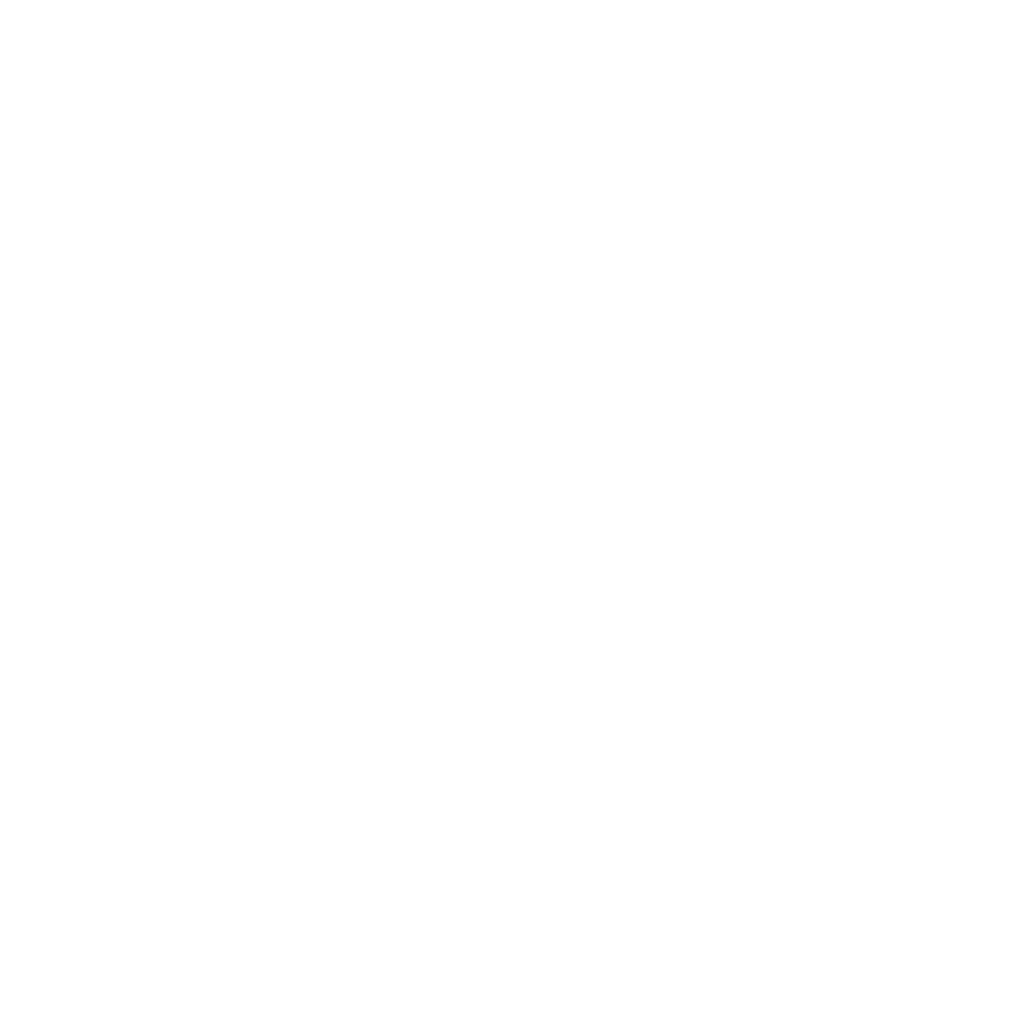 Security and shield
